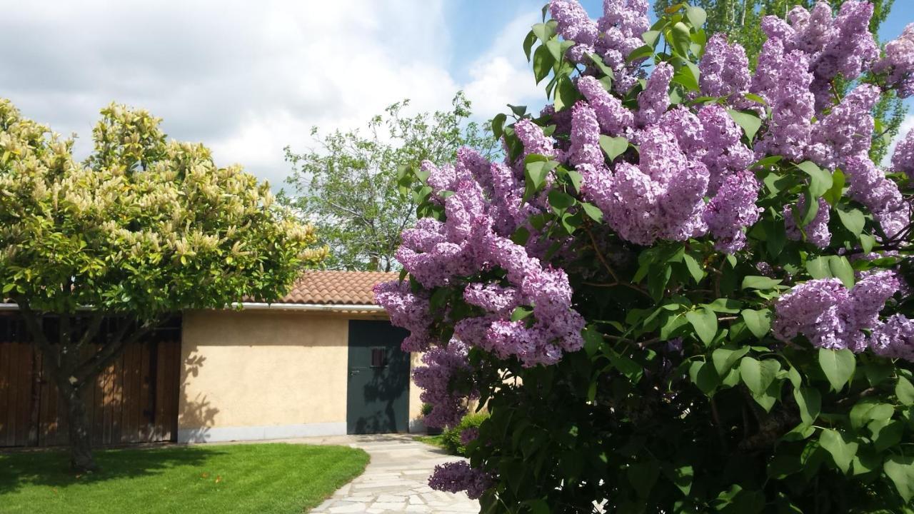 Casa Rural Las Tuyas En Segovia Паласуэлос-де-Эресма Экстерьер фото